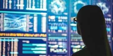 Persona che osserva i dati su uno schermo